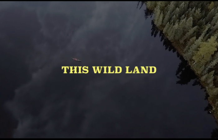 This Wild Land