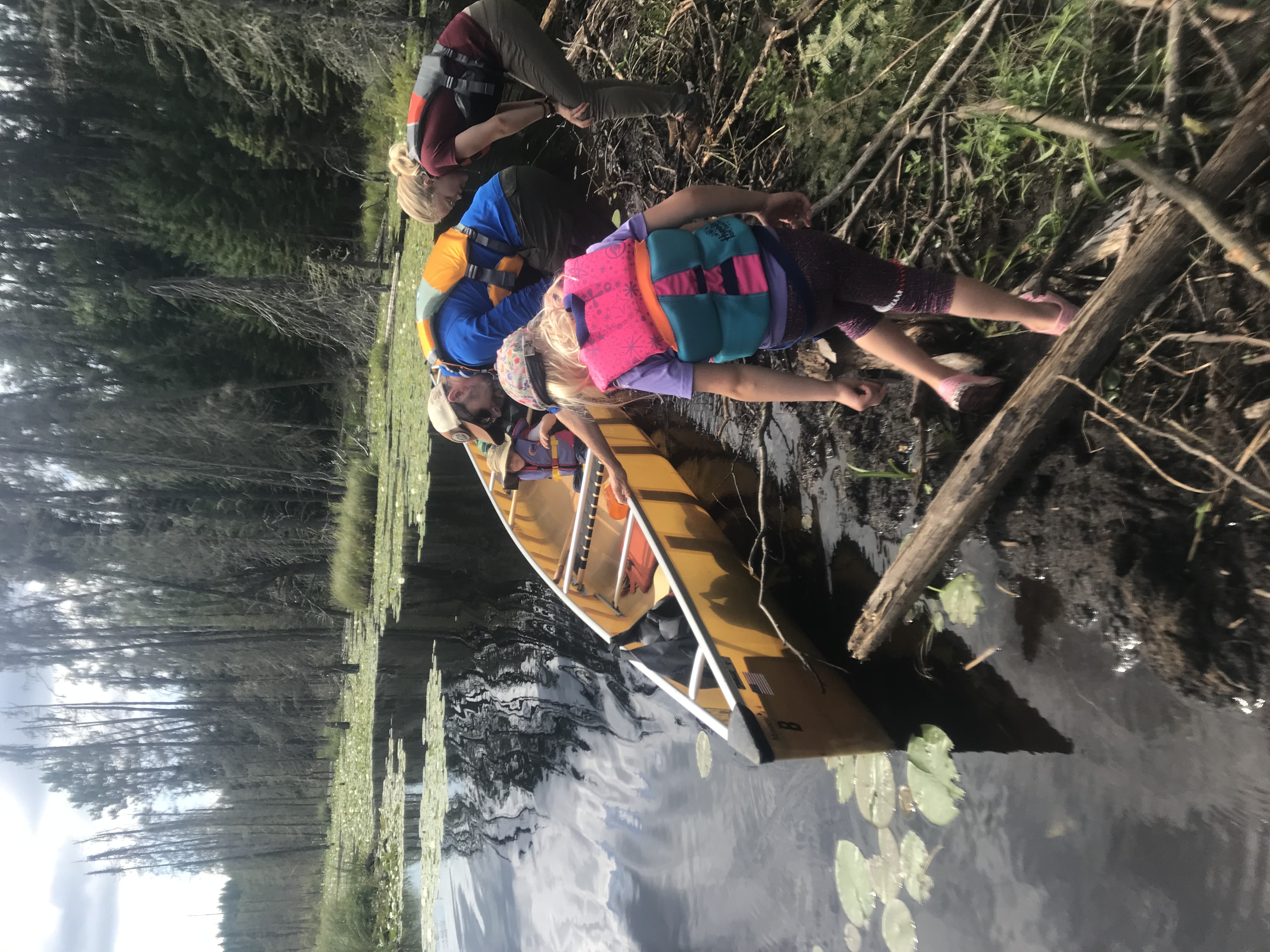 Crossing a beaver dam