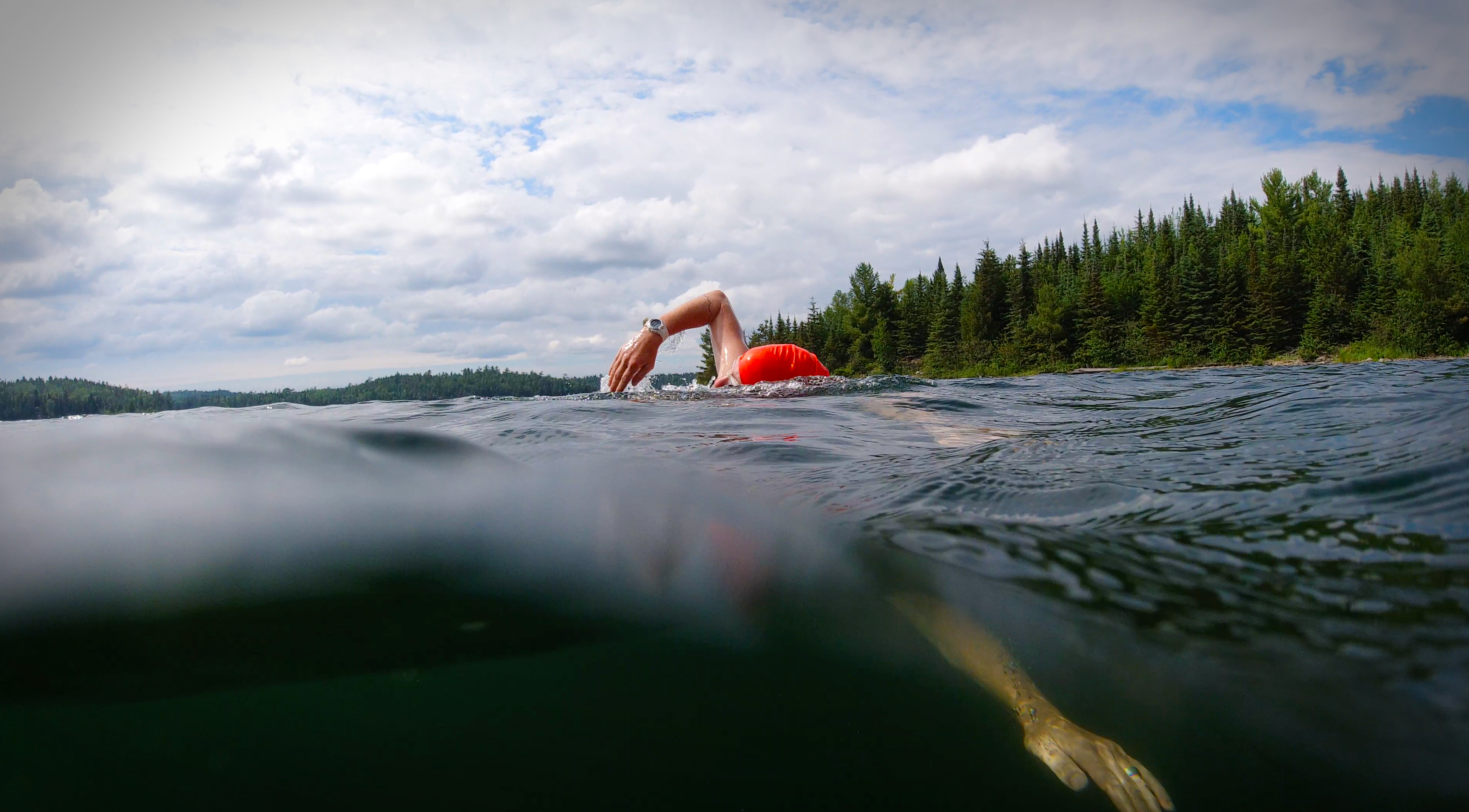 swimming in a wilderness lake