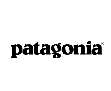 patagonia logo