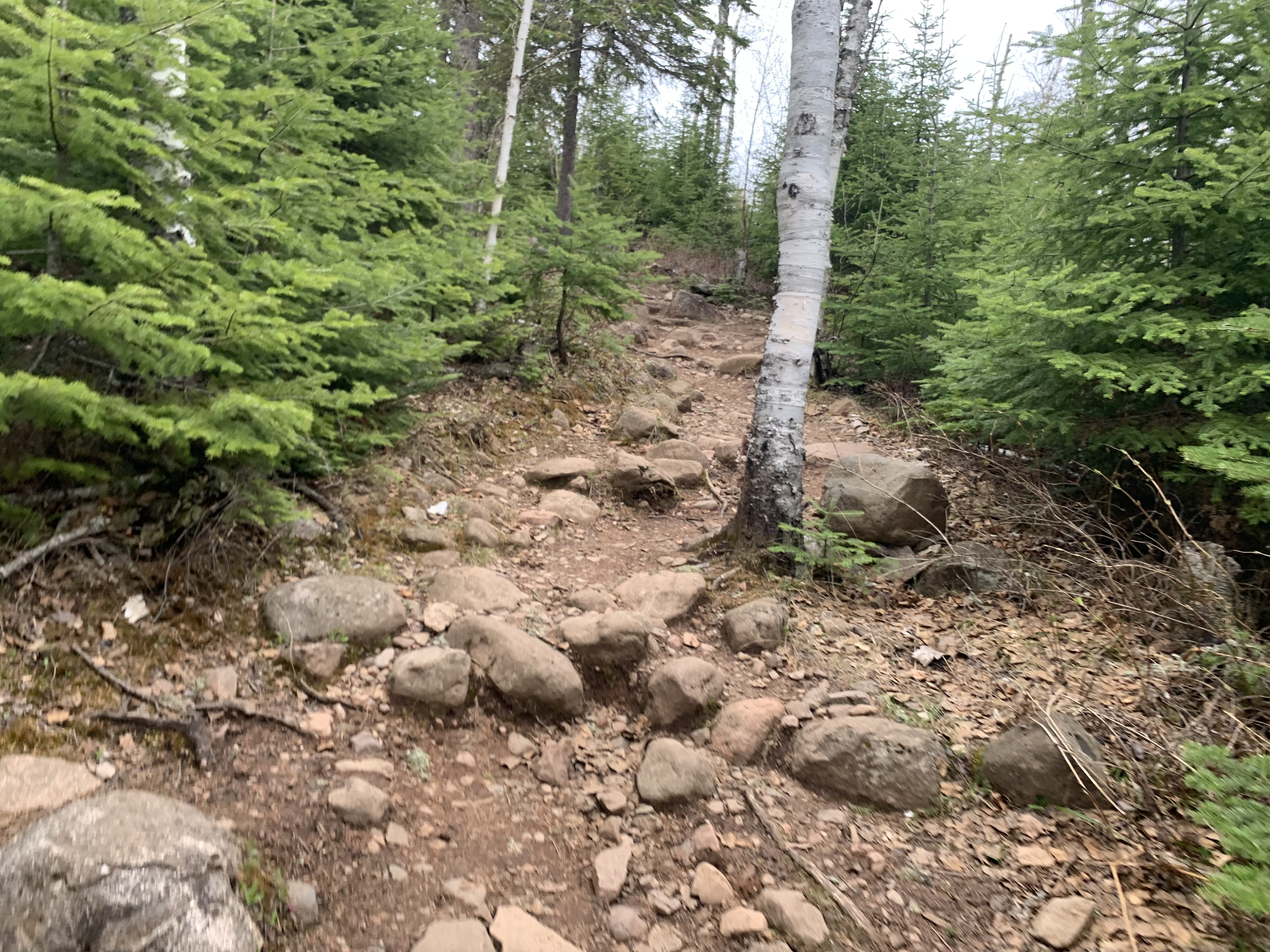 Running across the Boundary Waters Save the Boundary Waters
