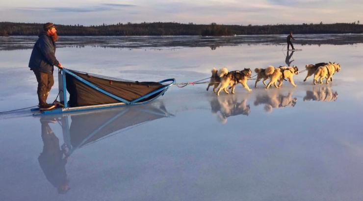 image of man dog sledding across a glossy lake