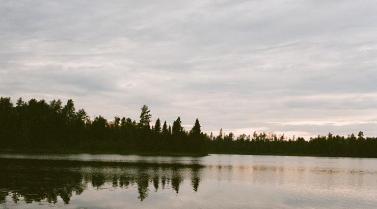 photo of tree line with a gray sky reflecting on water