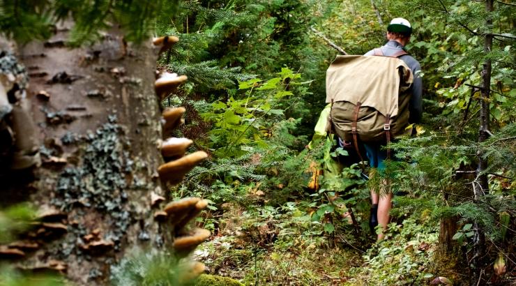 photo of a man walking through the forest with a portage pack on