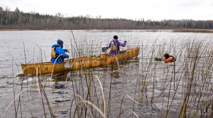 Dave and Amy Freeman paddling in a canoe with Nate Ptacek filming in the water