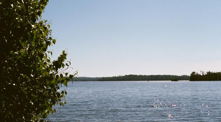 photo of boundary waters lake with pine tree in foreground
