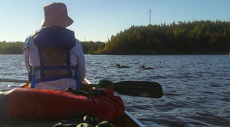 Watching the loons. Photo: Kelly Darnell