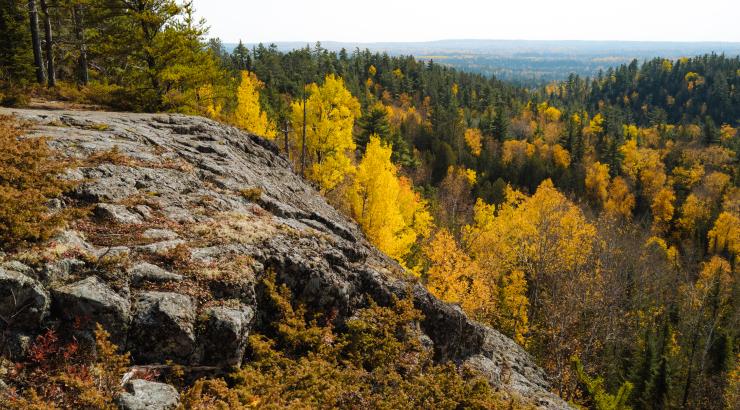 Autumn view from a cliff in the Boundary Waters 
