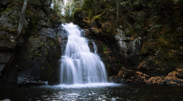 Meet Boundary Waters Connect, NMW’s economic and community development program