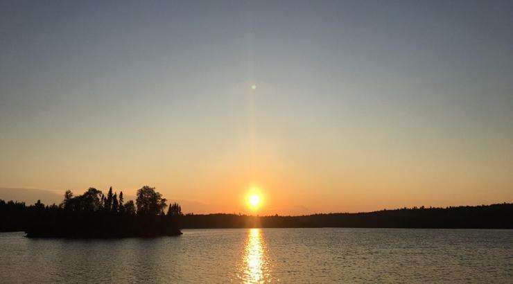 Photo of tree line in distance with sun rising in the middle of the horizon