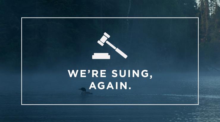 image of loon with text infront saying "We're suing. Again." with gavel clip art above