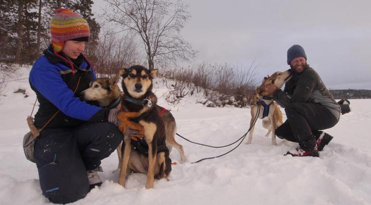 Photo of Dave and Amy Freeman petting 3 sled dogs in the snow