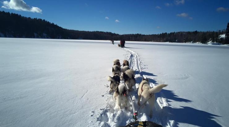 Photo of dogs pulling a sled across a snowy lake