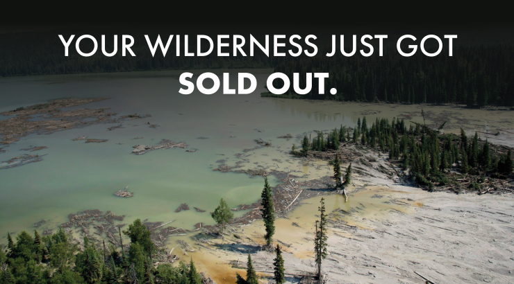 Image of dark wilderness with the text "Your Wilderness Just Got Sold Out"
