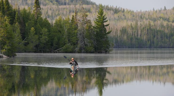 Photo of person kayaking in still water with trees reflecting on to water