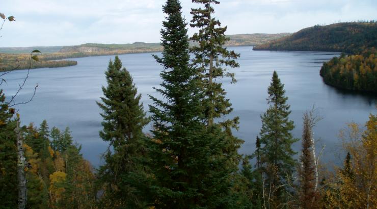 Photo Overlooking Boundary Waters with tree in center of frame