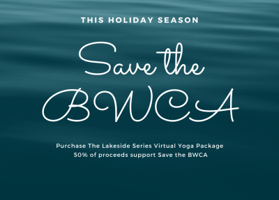 Graphic with the words "Save the BWCA" in large print, and a description of the virtual Lakeside yoga retreat
