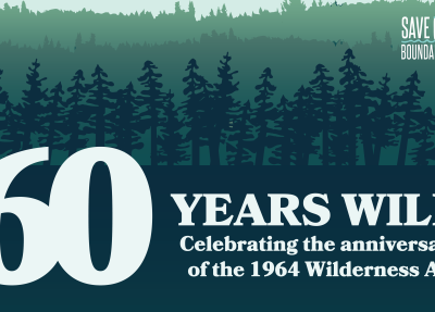 60 years wild illustrated graphic with green trees 