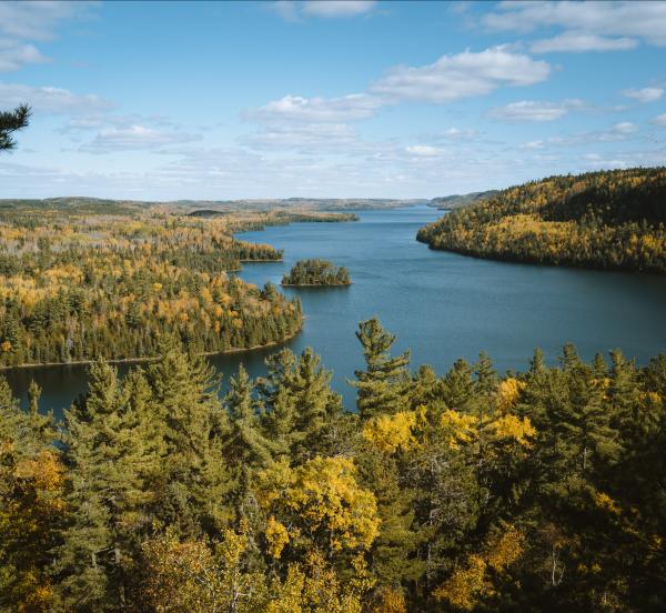 Overlook of a lake in the boundary waters with trees beginning to change color.