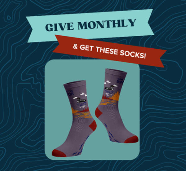 give month and get these socks