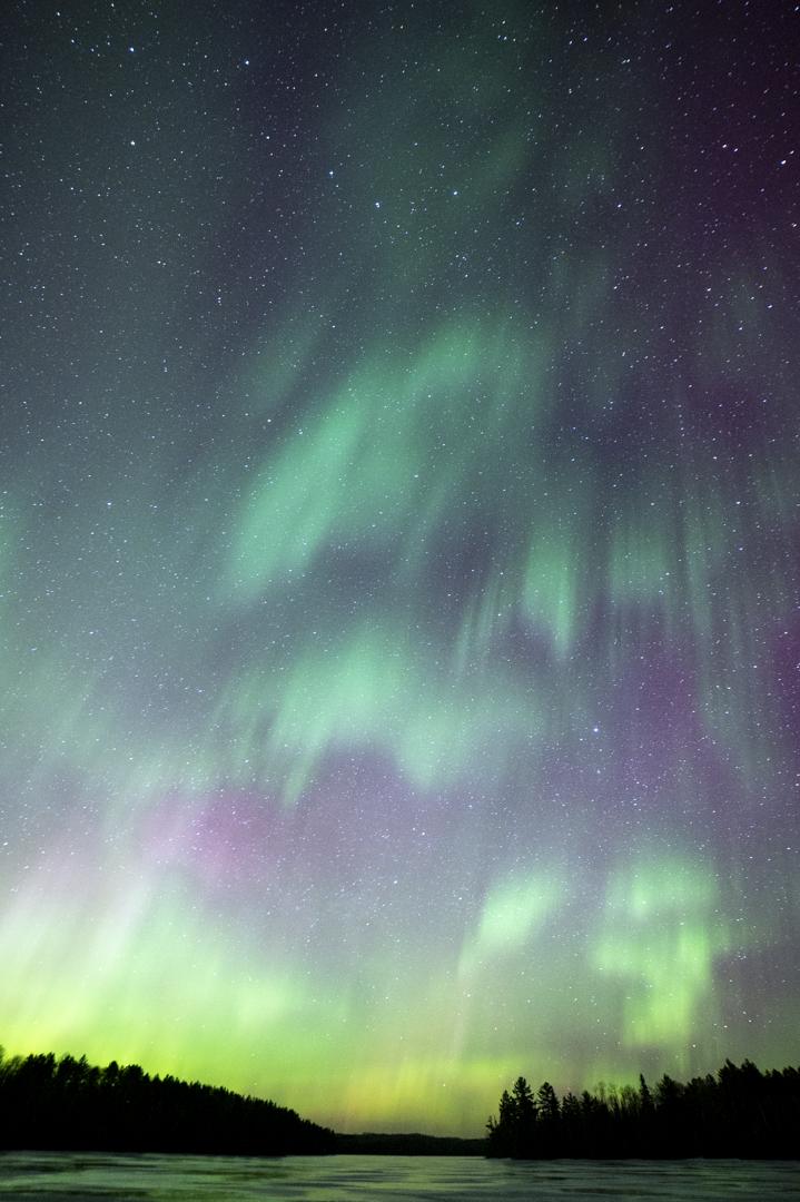 The northern lights shine in blue, green, and purple over a Boundary Waters lake