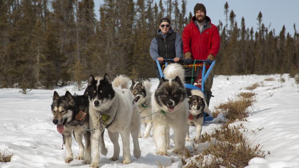 People dogsledding though a bog.