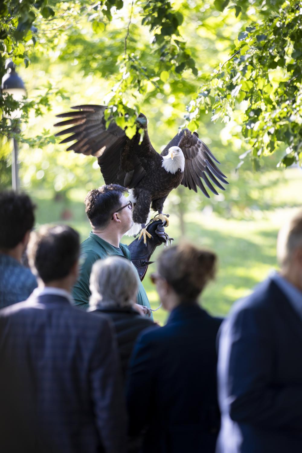 Eagle