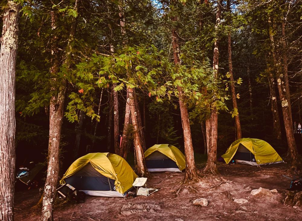 Set your tent up on a durable surface like dirt or rock and don't create new tent sites.