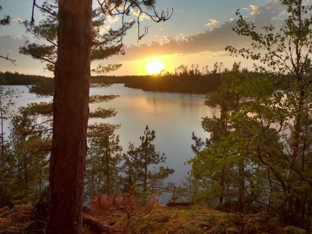 golden wilderness sunset 
