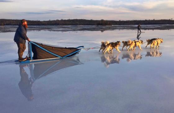 image of man dog sledding across a glossy lake