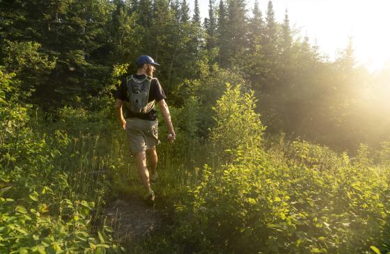 Boundary Waters Traverse - Trail Running Film