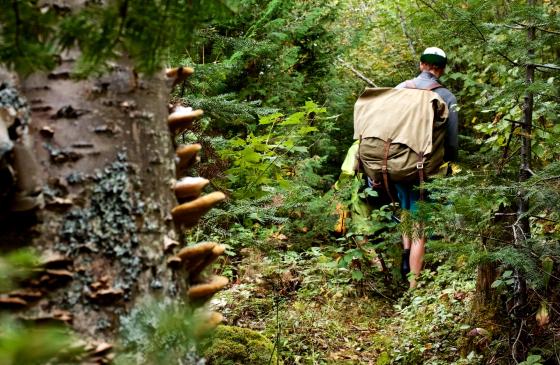 photo of a man walking through the forest with a portage pack on
