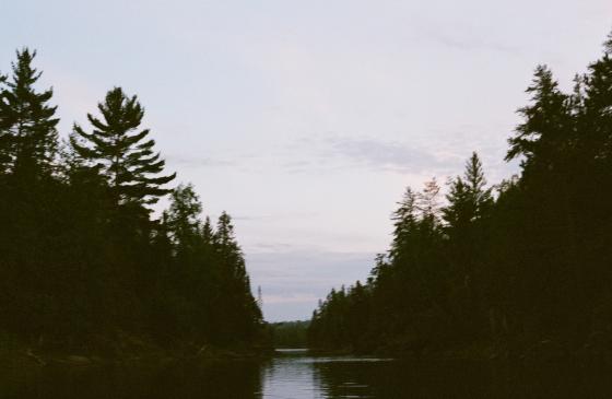 Photo of chanel between trees in Boundary Waters