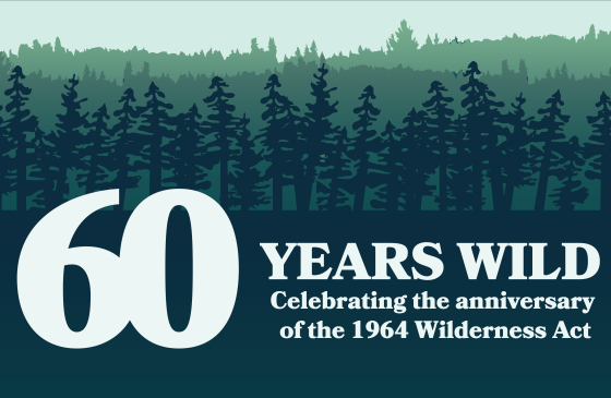 60 years wild