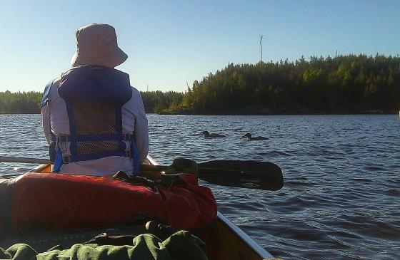 Watching the loons. Photo: Kelly Darnell