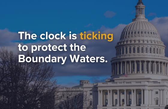 capitol in washington Dc