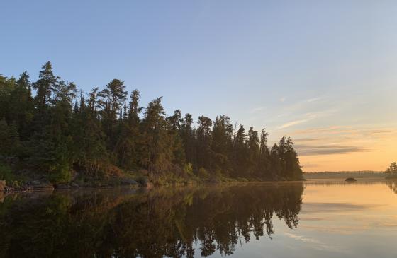 Photo of Boundary Waters sunrise with trees reflecting on calm water