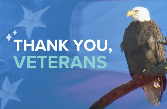 Eagle sits on branch. Subtle american flag overlay. Says "thank you veterans"