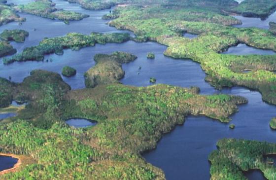 Jim Brandenburg Aerial Photo of the Boundary Waters