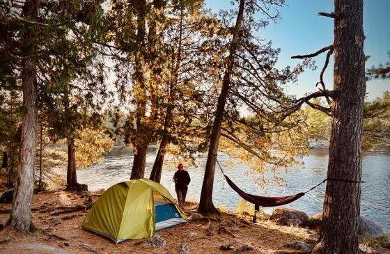 A green tent and purple hammock is set up near the lakeshore. 