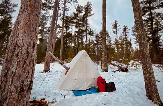A canvas hot tent sits in the snowy woods.