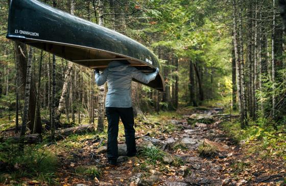 Roadless Rule and the Boundary Waters.