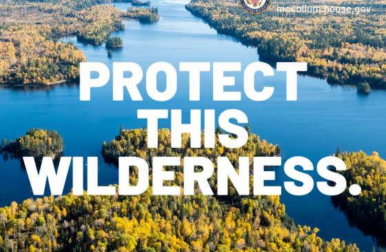 Text says "Protect this wilderness" infront of aerial of boundary waters