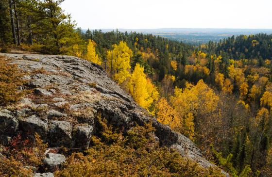 Autumn view from a cliff in the Boundary Waters 
