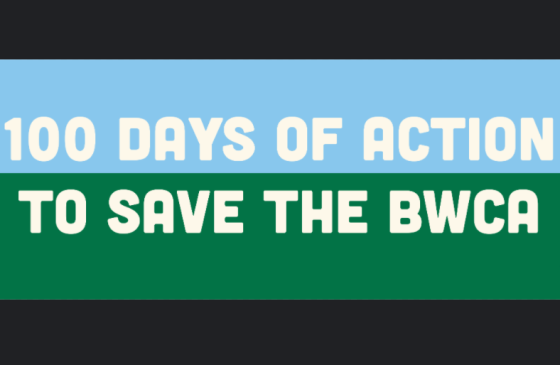 banner reading "100 days of action to save the BWCA"