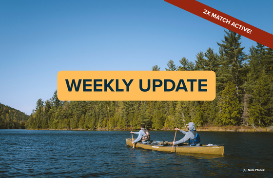 Two people canoeing. Photo Nate Ptacek. 