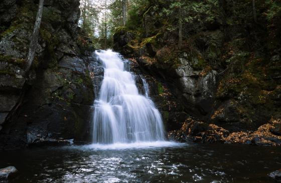 Meet Boundary Waters Connect, NMW’s economic and community development program