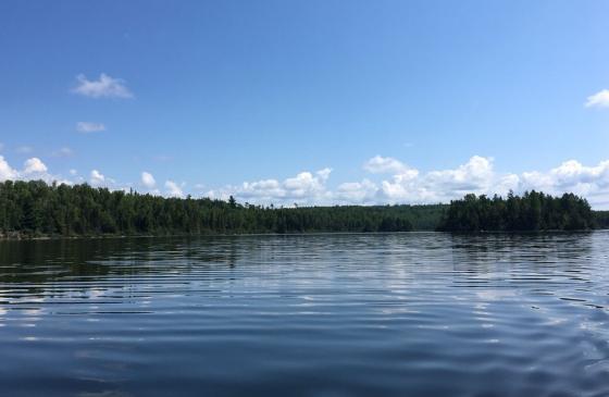 Photo of Boundary Waters with blue sky, blue water, and a tree silhouette sky line