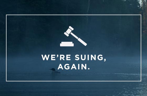 image of loon with text infront saying "We're suing. Again." with gavel clip art above