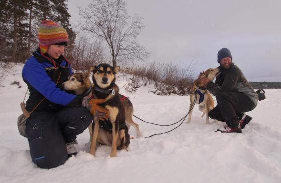 Photo of Amy and Dave Freeman crouching in snow petting sled dogs